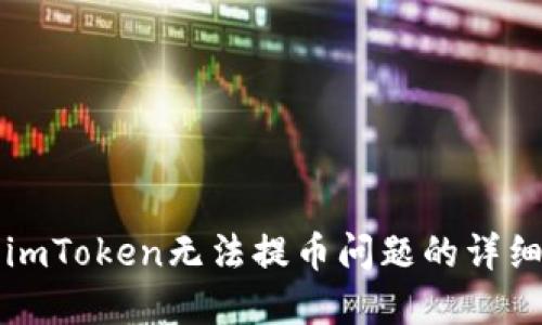 解决imToken无法提币问题的详细指南