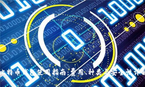 比特币钱包使用指南:费用、种类与安全性详解