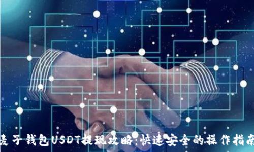 麦子钱包USDT提现攻略:快速安全的操作指南
