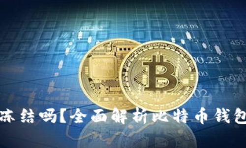 比特币钱包会被冻结吗?全面解析比特币钱包的安全性与管理