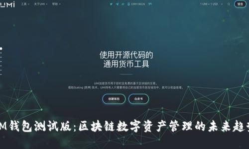 IM钱包测试版:区块链数字资产管理的未来趋势