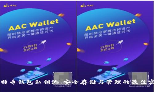 比特币钱包私钥池:安全存储与管理的最佳实践
