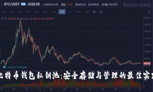 比特币钱包私钥池:安全存储与管理的最佳实践