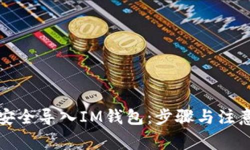 如何安全导入IM钱包:步骤与注意事项