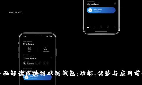 全面解读区块链双链钱包:功能、优势与应用前景