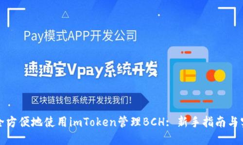 如何安全方便地使用imToken管理BCH: 新手指南与实用技巧