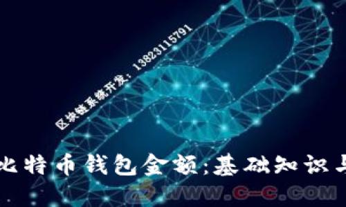 如何查看比特币钱包金额:基础知识与实用指南