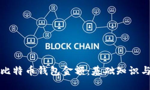 如何查看比特币钱包金额:基础知识与实用指南