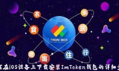 如何在iOS设备上下载安装
