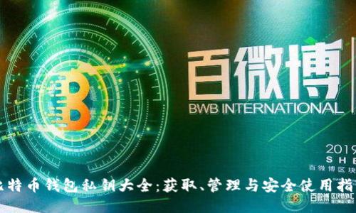 比特币钱包私钥大全:获取、管理与安全使用指南