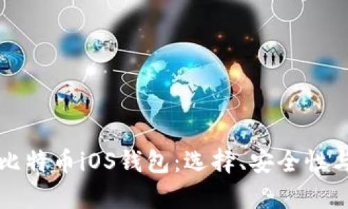 全面解析比特币iOS钱包:选择、安全性与使用指南
