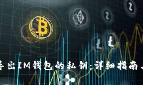 如何安全导出IM钱包的私钥:详细指南与注意事项