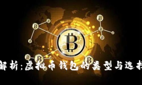 全面解析:虚拟币钱包的类型与选择指南