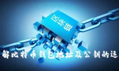 全面了解比特币钱包地址