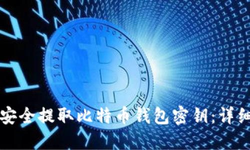 如何安全提取比特币钱包密钥:详细指南
