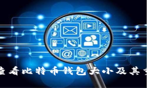 如何查看比特币钱包大小及其重要性