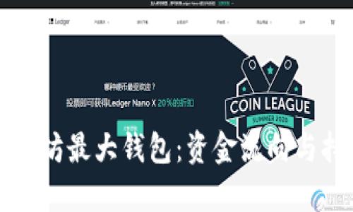 揭秘以太坊最大钱包:资金流向与持币分析