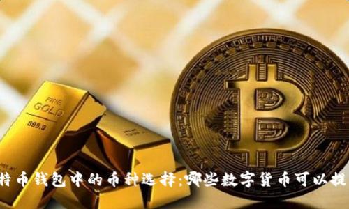比特币钱包中的币种选择:哪些数字货币可以提取?