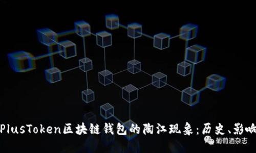 : 探索PlusToken区块链钱包的陶江现象:历史、影响与未来