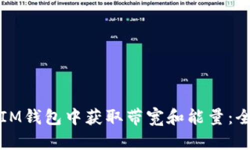 如何在IM钱包中获取带宽和能量:全面指南