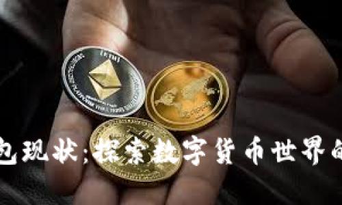 区块链钱包现状:探索数字货币世界的关键工具