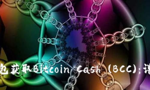 如何通过比特币钱包获取Bitcoin Cash (BCC):详细指南与实操技巧