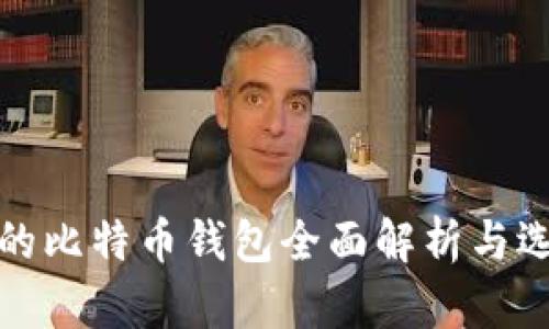 最安全的比特币钱包全面解析与选择指南