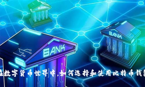 在数字货币世界中,如何选择和使用比特币钱包
