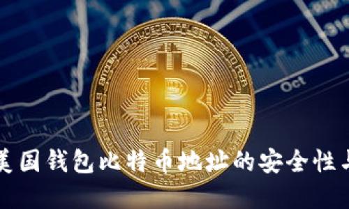 深入了解美国钱包比特币地址的安全性与使用指南