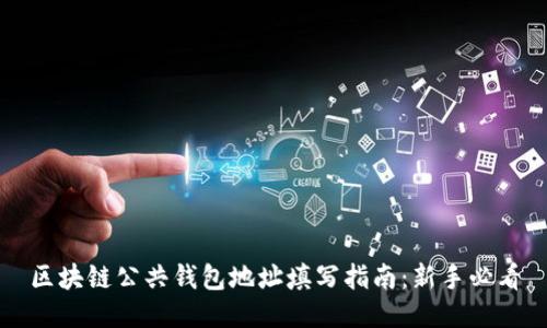 区块链公共钱包地址填写指南:新手必看