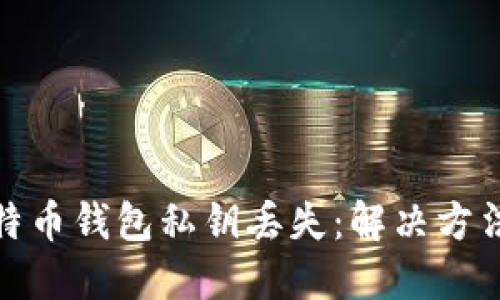 如何应对比特币钱包私钥丢失:解决方法与预防措施