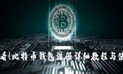 新手必看！比特币钱包注