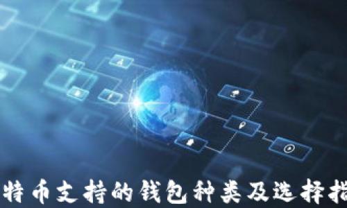 比特币支持的钱包种类及选择指南