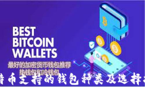 比特币支持的钱包种类及选择指南