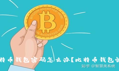 忘记比特币钱包密码怎么办?比特币钱包恢复指南