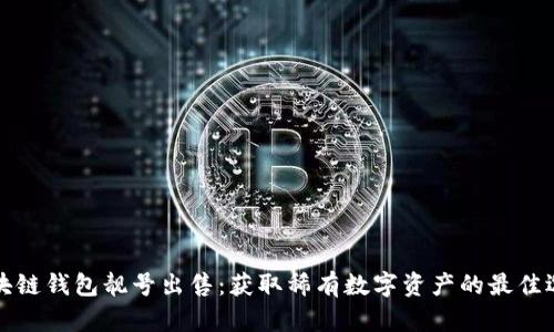 区块链钱包靓号出售:获取稀有数字资产的最佳选择