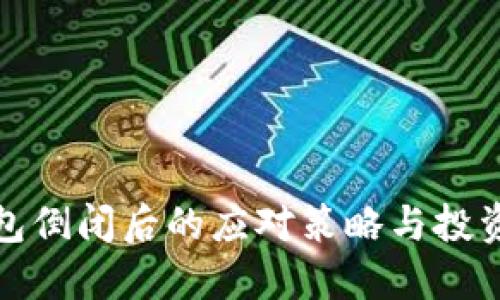 虚拟币钱包倒闭后的应对策略与投资保护措施