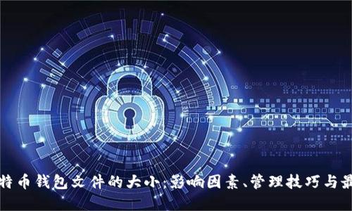 揭秘比特币钱包文件的大小:影响因素、管理技巧与最佳实践