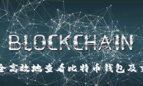 如何安全高效地查看比特币钱包及交易记录