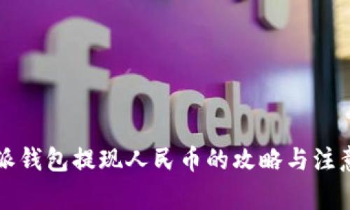 比特派钱包提现人民币的攻略与注意事项