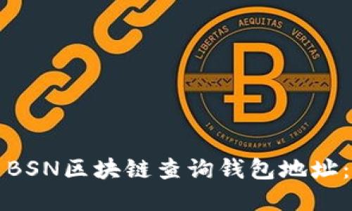 如何使用BSN区块链查询钱包地址:完整指南
