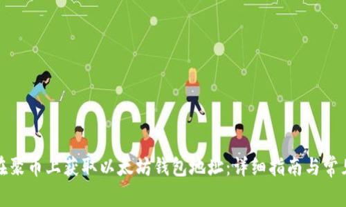 如何在聚币上获取以太坊钱包地址:详细指南与常见问答
