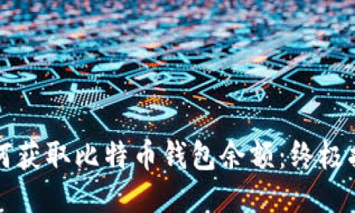 如何获取比特币钱包余额:终极指南