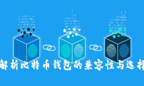 全面解析比特币钱包的兼容性与选择参考