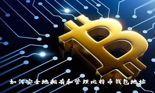 如何安全地拥有和管理比特币钱包地址