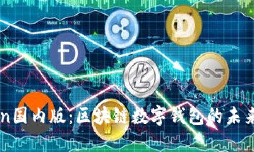 imToken国内版:区块链数字钱包的未来与挑战
