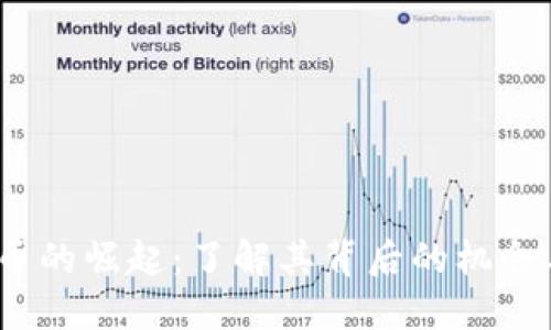 IMDX币的崛起:了解其背后的机会与挑战
