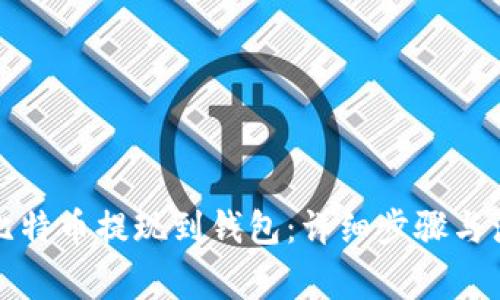 如何将比特币提现到钱包:详细步骤与注意事项
