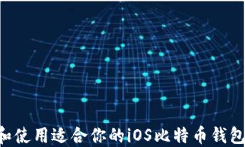 如何选择和使用适合你的iOS比特币钱包:全面指南
