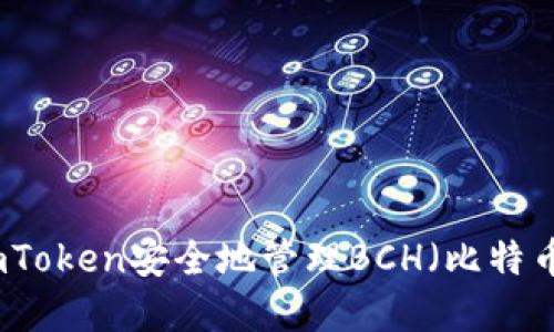 如何使用imToken安全地管理BCH(比特币现金)资产